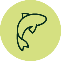 Fisch Icon