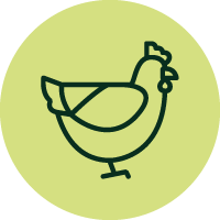 Huhn Icon