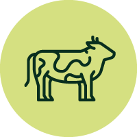 Rind Icon