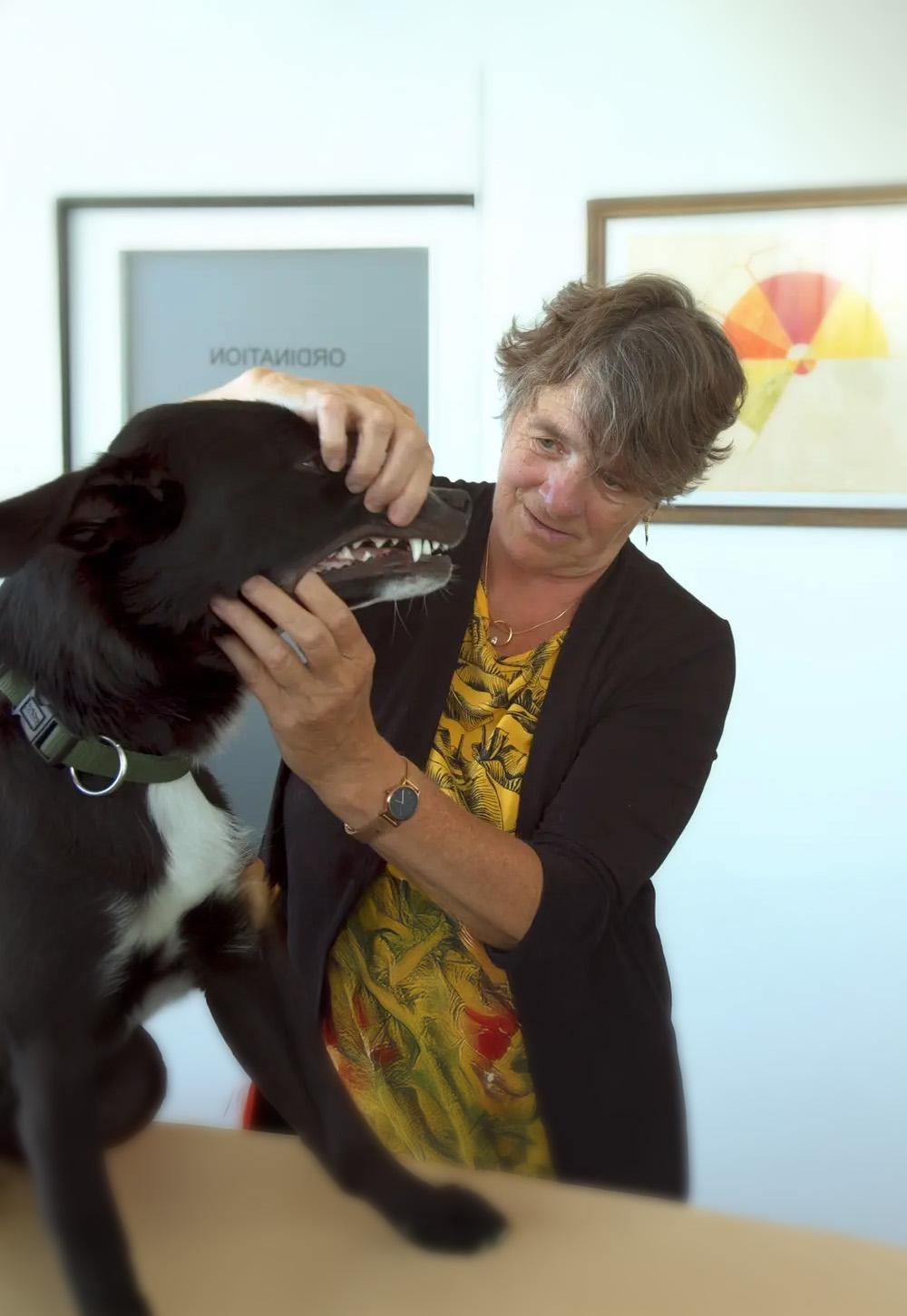 Dr. med. vet. Jutta Ziegler, die einem Hund ins Maul schaut