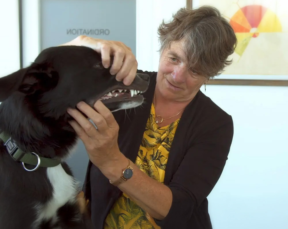 Dr. med. vet. Jutta Ziegler, die einem Hund ins Maul schaut
