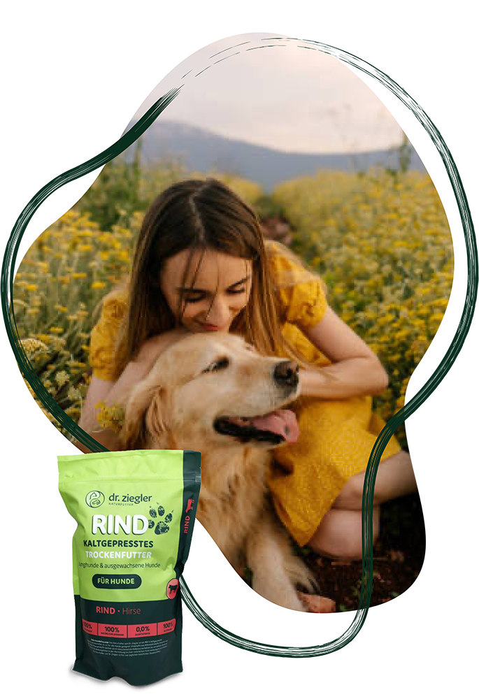 Frau mit Golden Retriever in Blumenfeld und Dr. Zieglers Trockenfutter Packung davor