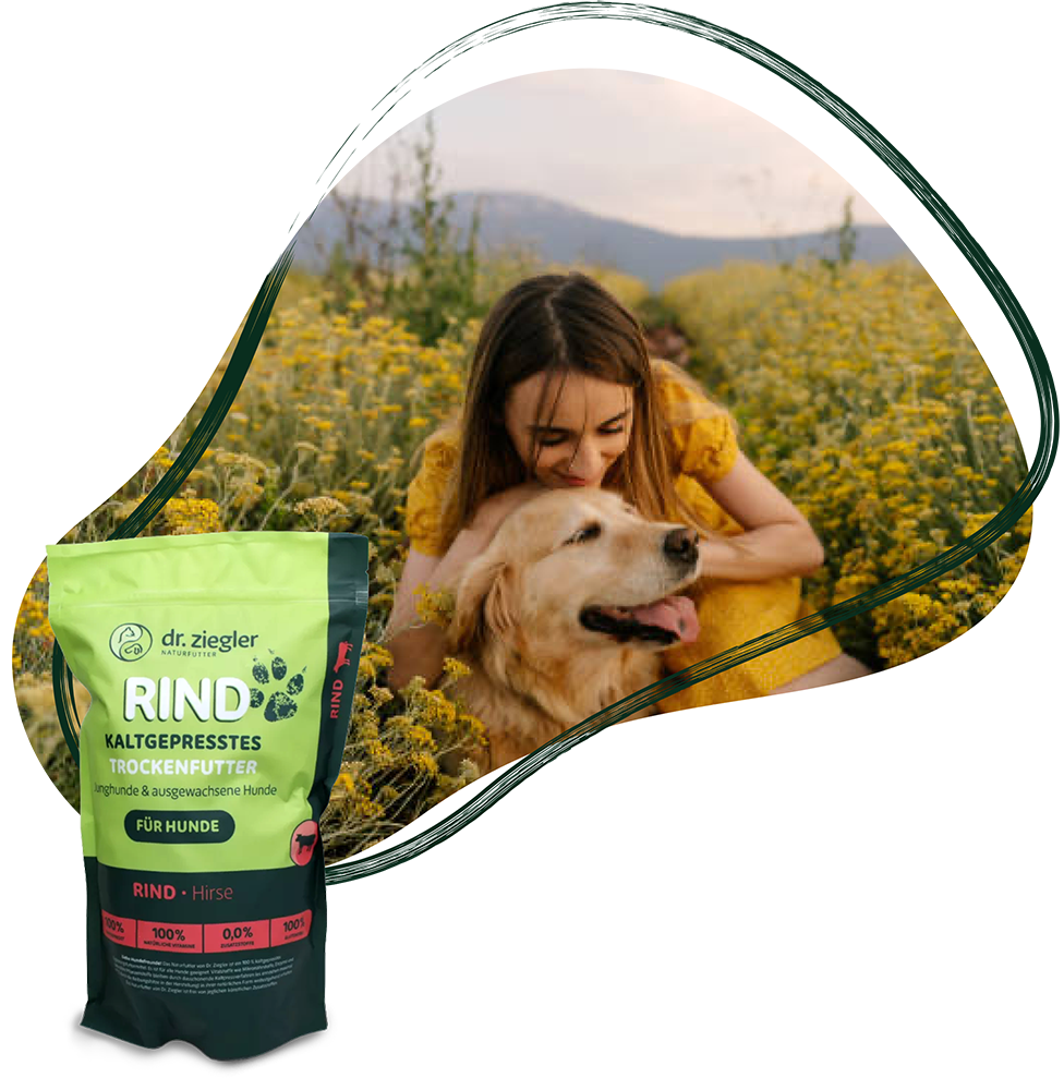 Frau mit Golden Retriever in Blumenfeld und Dr. Zieglers Trockenfutter Packung davor