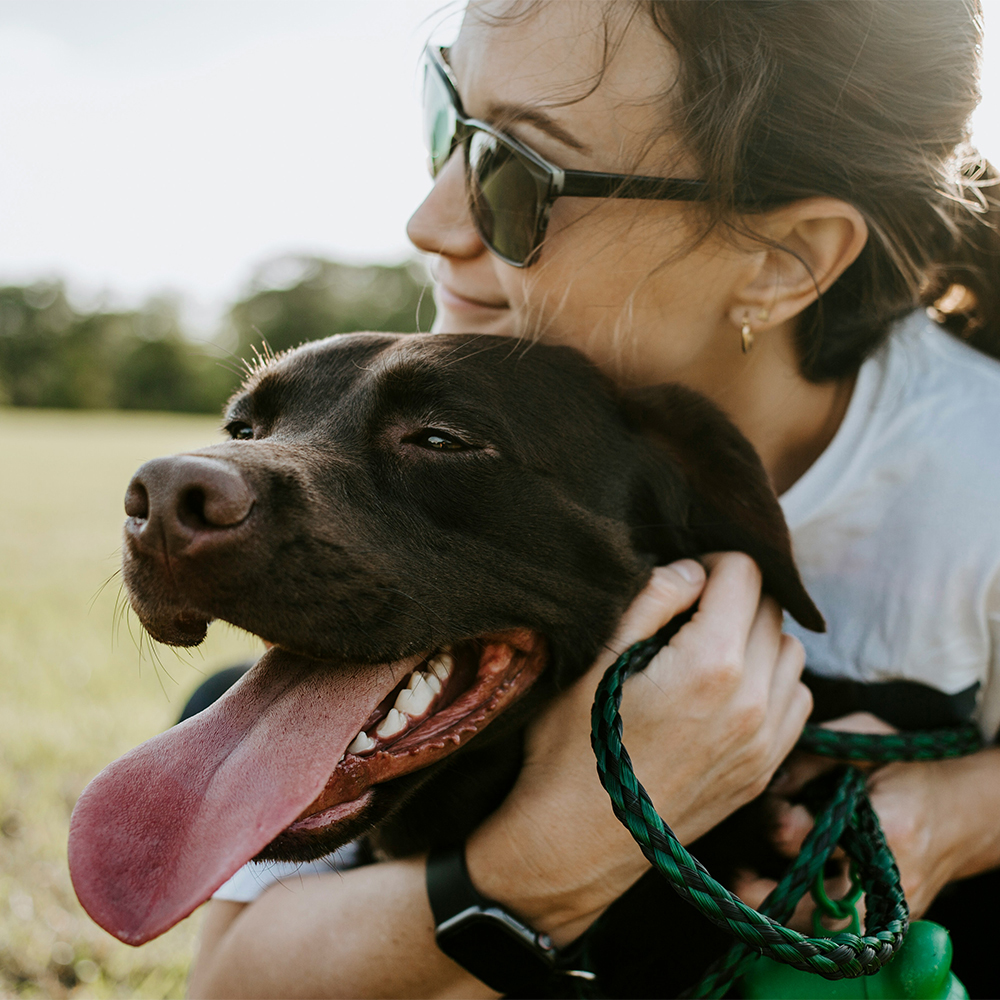 Nahaufnahme von Frau mit Sonnenbrille, die ihren dunkelbraunen Hund umarmt, der die Zunge rausstreckt